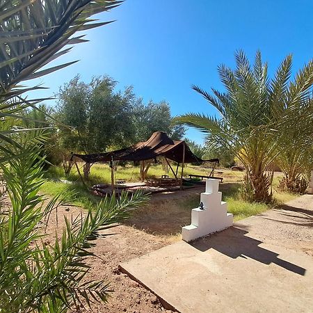 Jardin Du Desert M'Hamid Zewnętrze zdjęcie