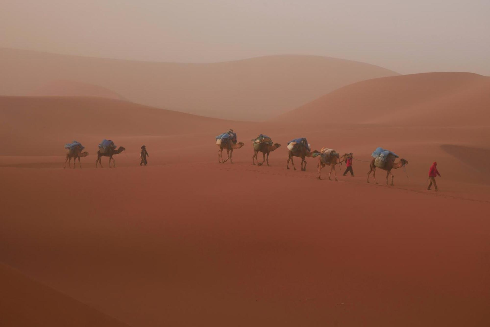 Jardin Du Desert M'Hamid Zewnętrze zdjęcie