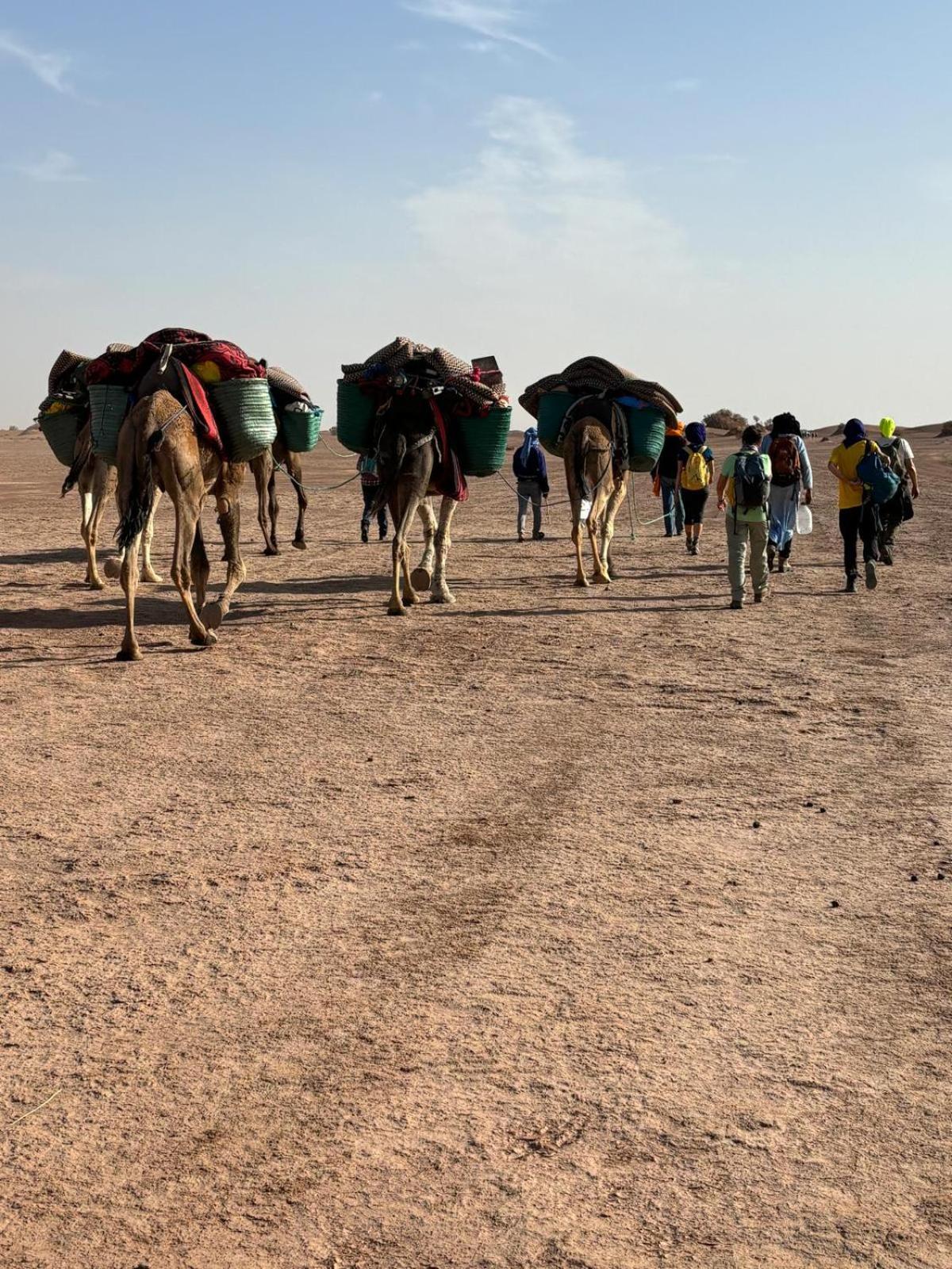 Jardin Du Desert M'Hamid Zewnętrze zdjęcie