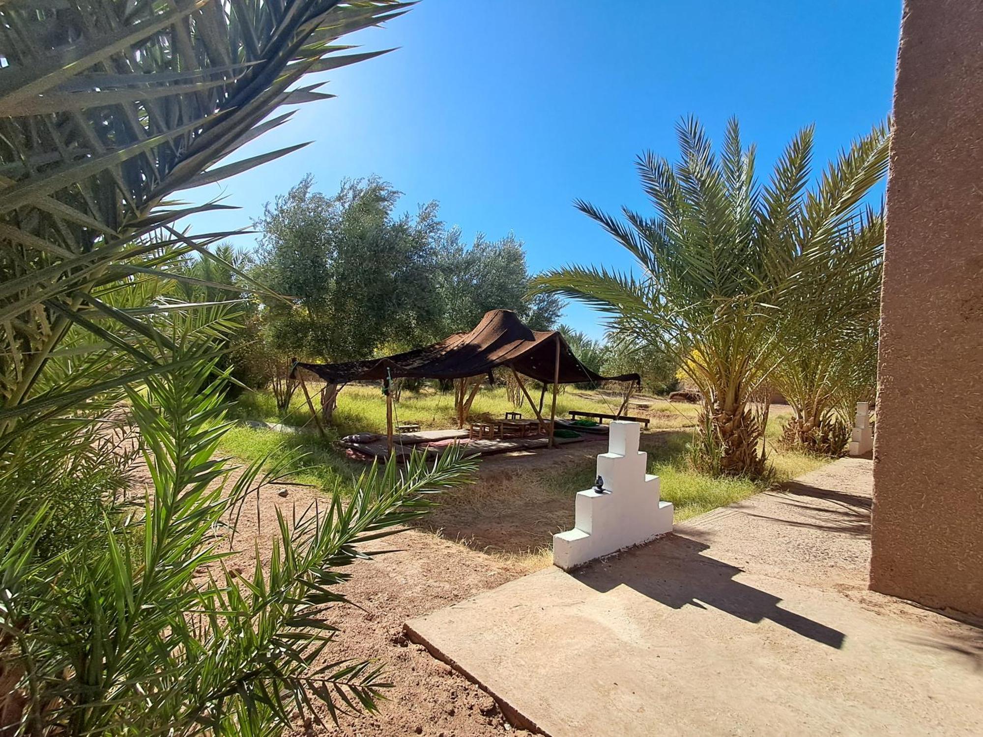 Jardin Du Desert M'Hamid Zewnętrze zdjęcie