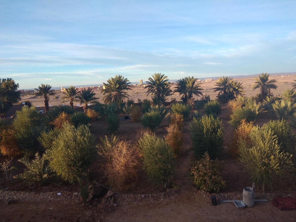 Jardin Du Desert M'Hamid Zewnętrze zdjęcie